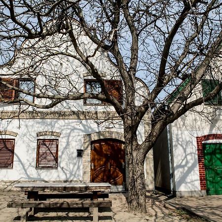 Berger Pince-Vendeghaz, Hajosi Pincek Hotel Bagian luar foto